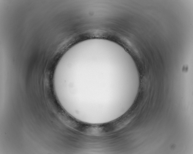 X0000089830217200707262031