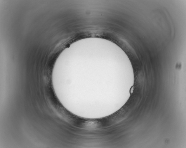 X0000089830218200707262031