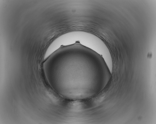 X0000089830219200707262031