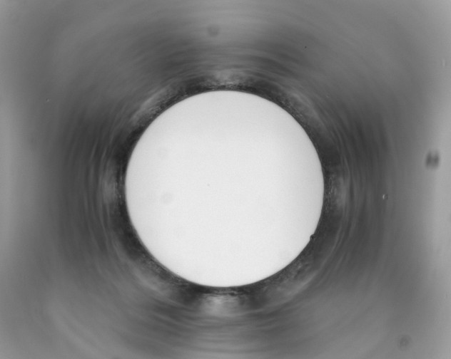X0000089830220200707262031