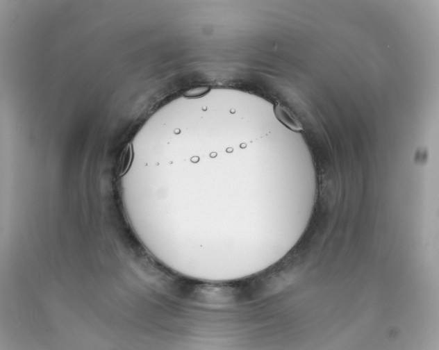 X0000089830221200707262031