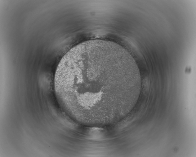X0000089830222200707262031