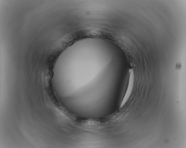 X0000089830223200707262031