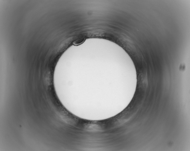 X0000089830224200707262030