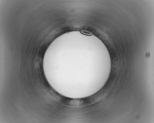 X0000089830225200707262030