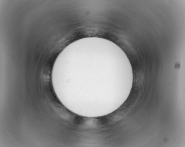 X0000089830226200707262030
