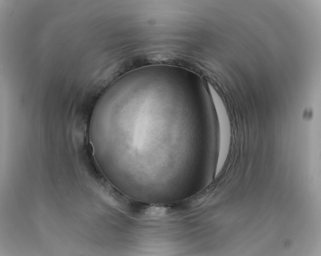 X0000089830227200707262030