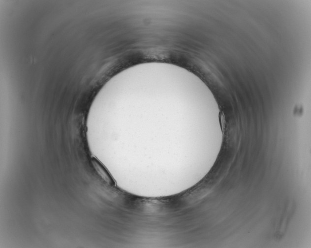 X0000089830229200707262030