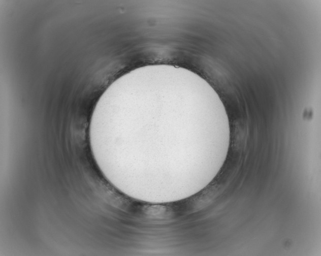 X0000089830230200707262030