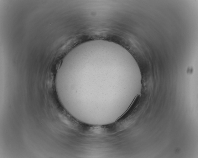 X0000089830231200707262030