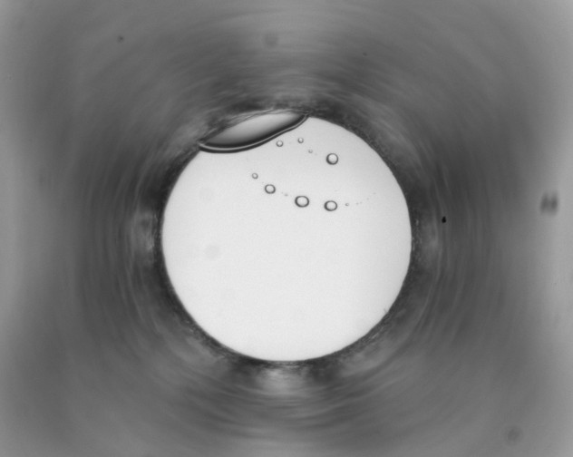 X0000089830232200707262030