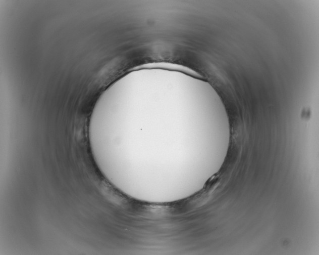 X0000089830233200707262030