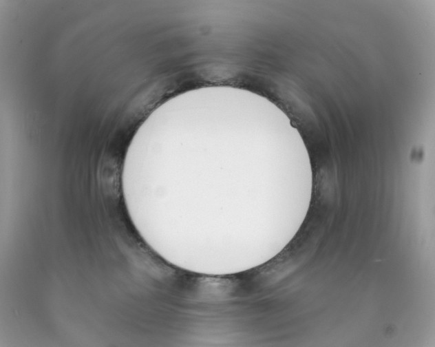 X0000089830234200707262030
