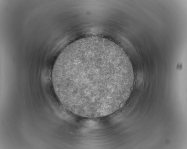 X0000089830236200707262030