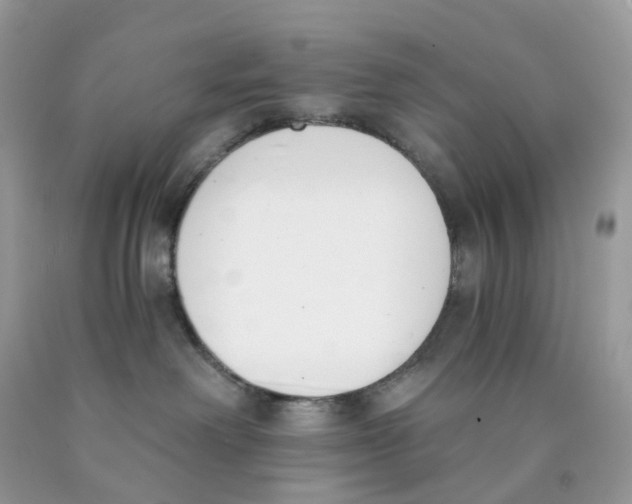 X0000089830238200707262030