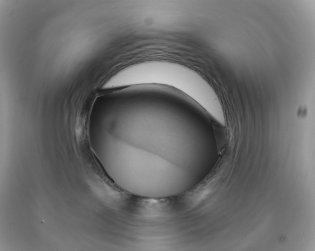 X0000089830239200707262030