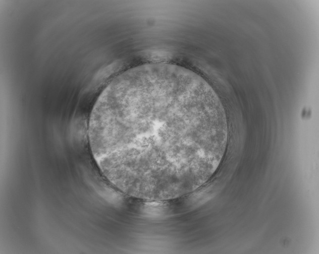 X0000089830240200707262030