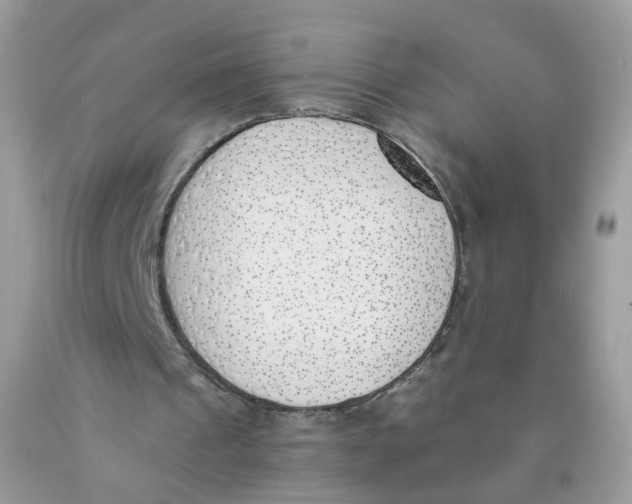 X0000089830241200707262030