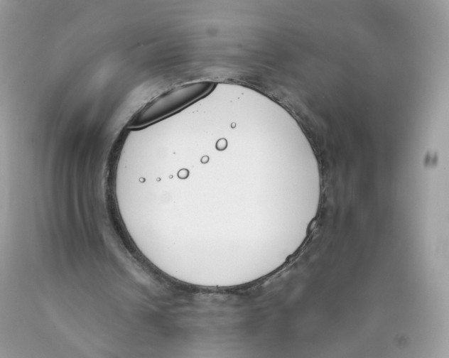 X0000089830242200707262030
