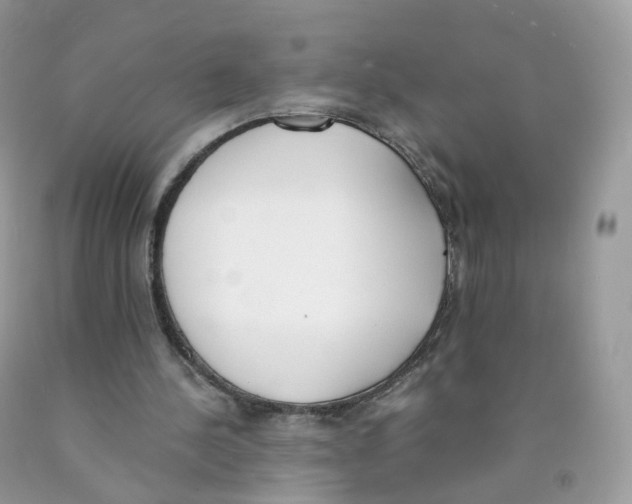 X0000089830244200707262030