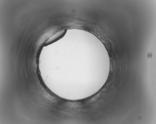 X0000089830245200707262030