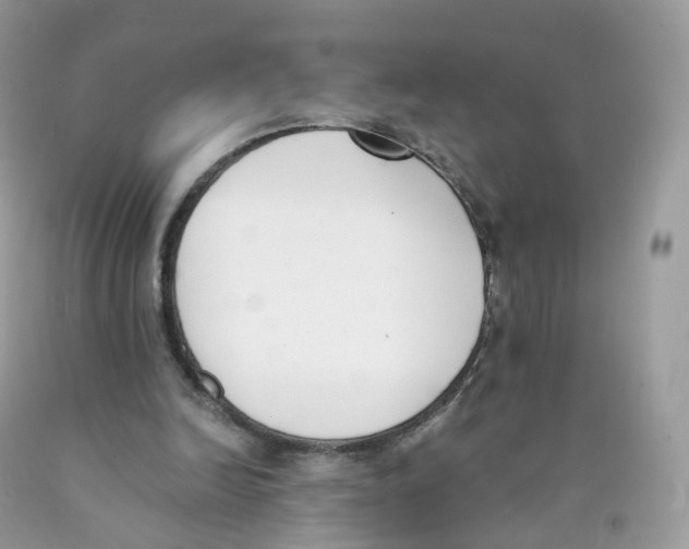 X0000089830246200707262030
