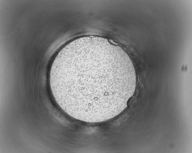 X0000089830247200707262030