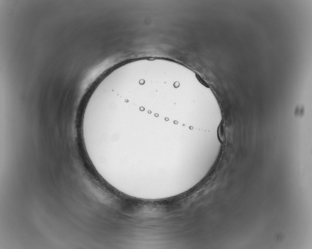 X0000089830248200707262030
