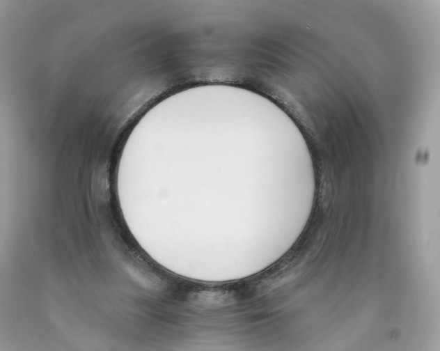 X0000089830251200707262030