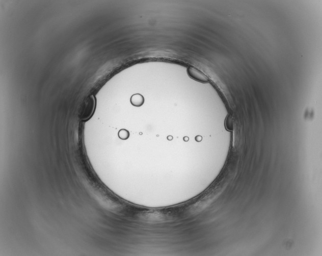 X0000089830253200707262030