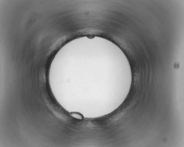 X0000089830254200707262030