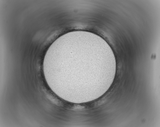 X0000089830257200707262030