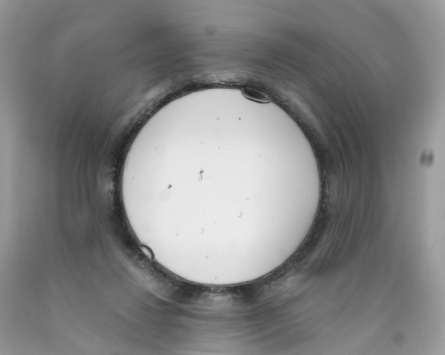 X0000089830260200707262030
