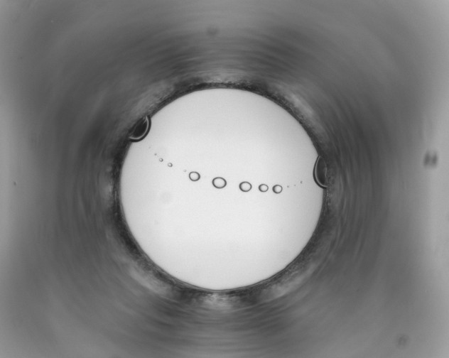 X0000089830261200707262030
