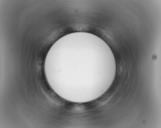 X0000089830263200707262030