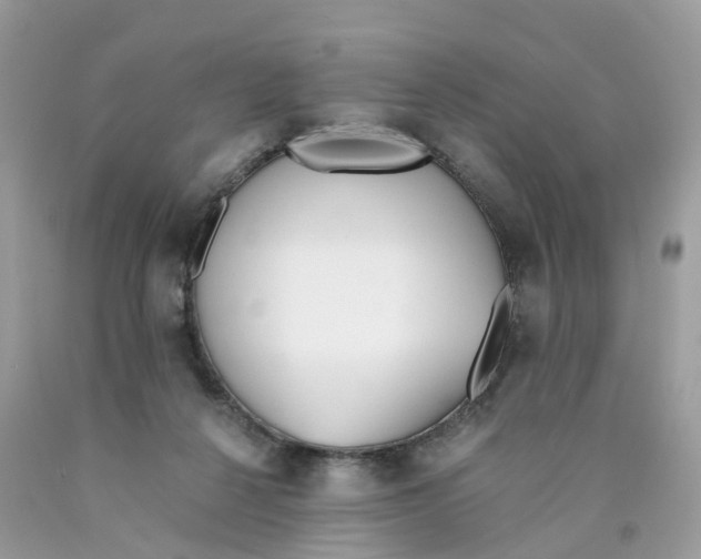 X0000089830264200707262030