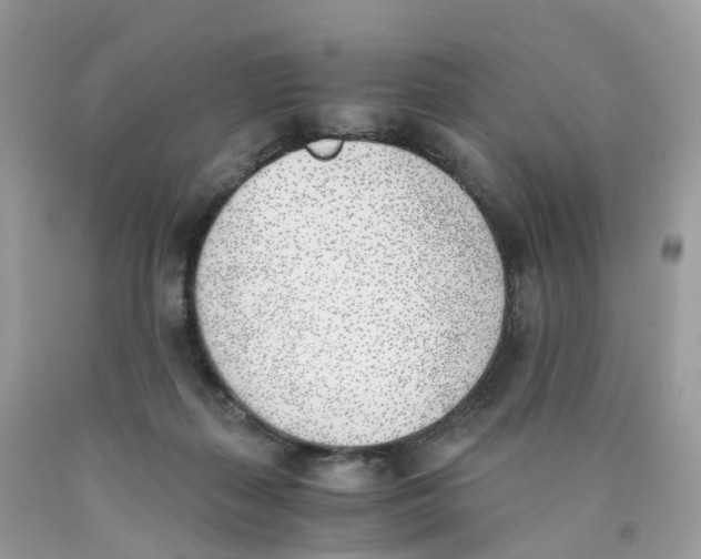 X0000089830267200707262030