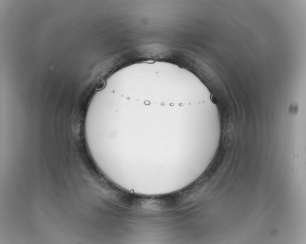 X0000089830268200707262030