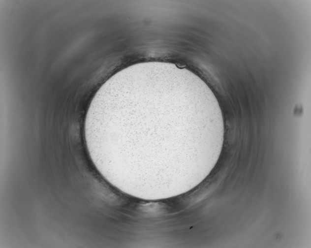 X0000089830269200707262030