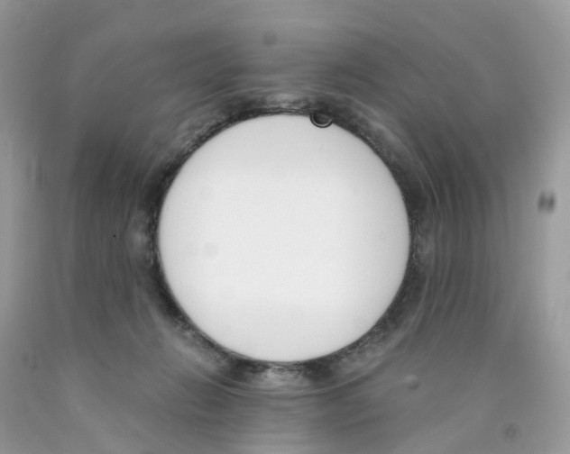 X0000089830270200707262030