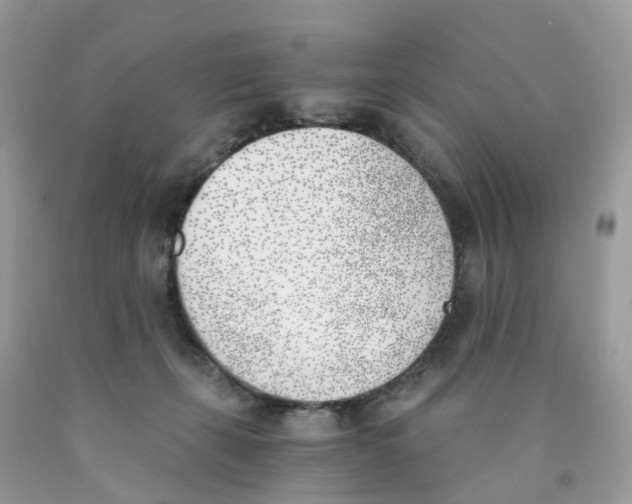 X0000089830271200707262030