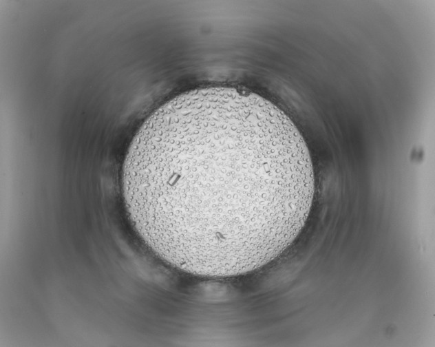X0000089830272200707262030