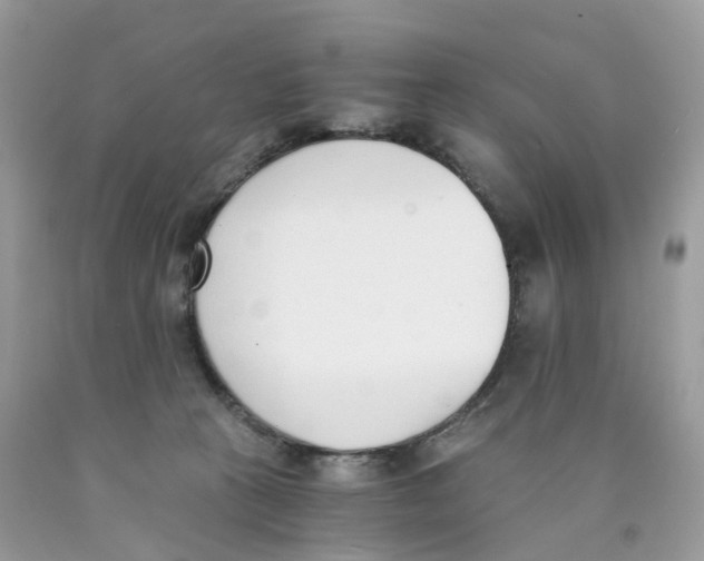 X0000089830273200707262030