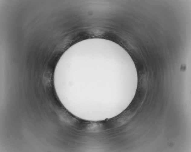 X0000089830274200707262030