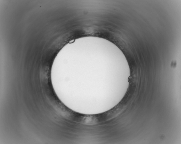X0000089830275200707262030
