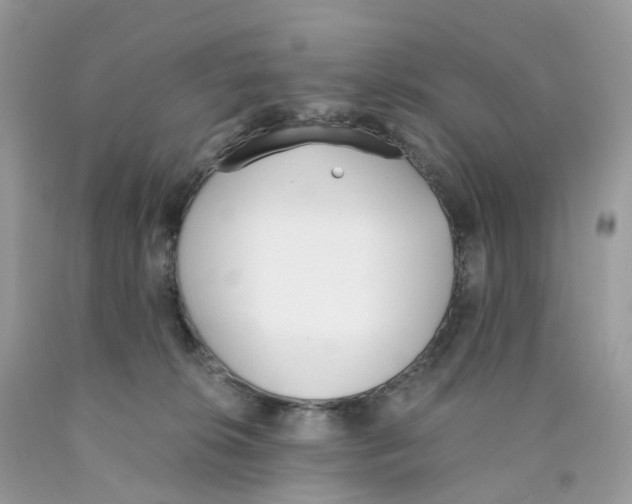 X0000089830276200707262030