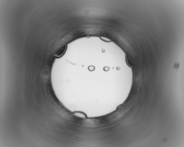 X0000089830277200707262030