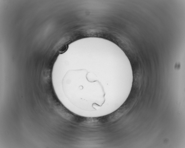 X0000089830278200707262030