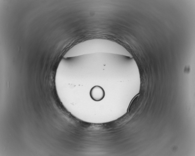 X0000089830280200707262030