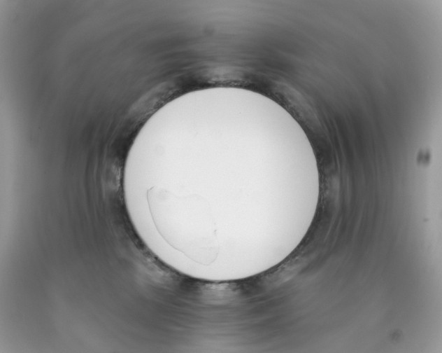 X0000089830281200707262030